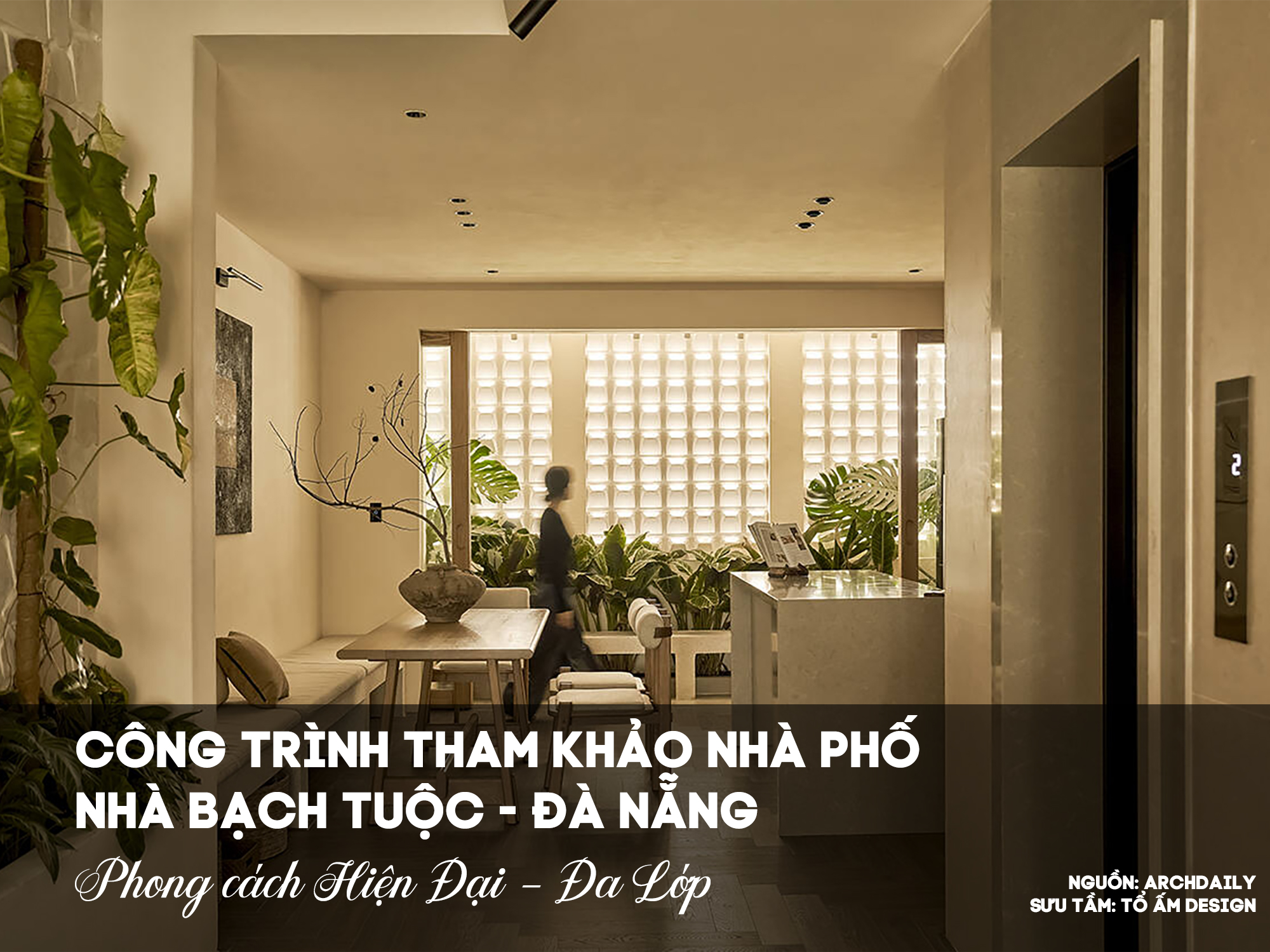 Nhà phố Nhà Bạch Tuộc Đà Nẵng | Thiết kế “biết thở” giữa lòng đô thị hiện đại