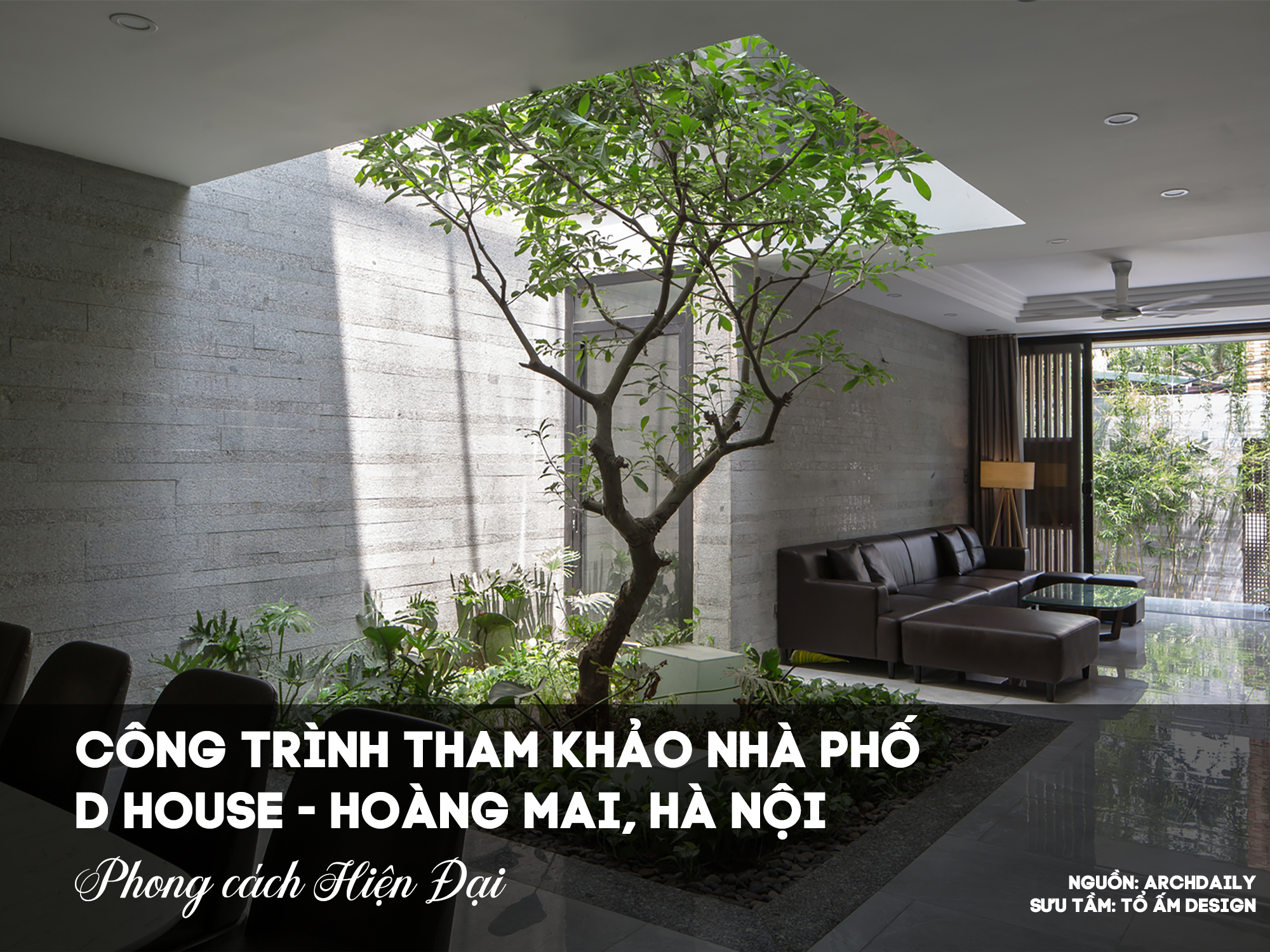 Khám Phá Nhà Phố D House Hà Nội | Giải Pháp Sống Xanh Giữa Lòng Đô Thị