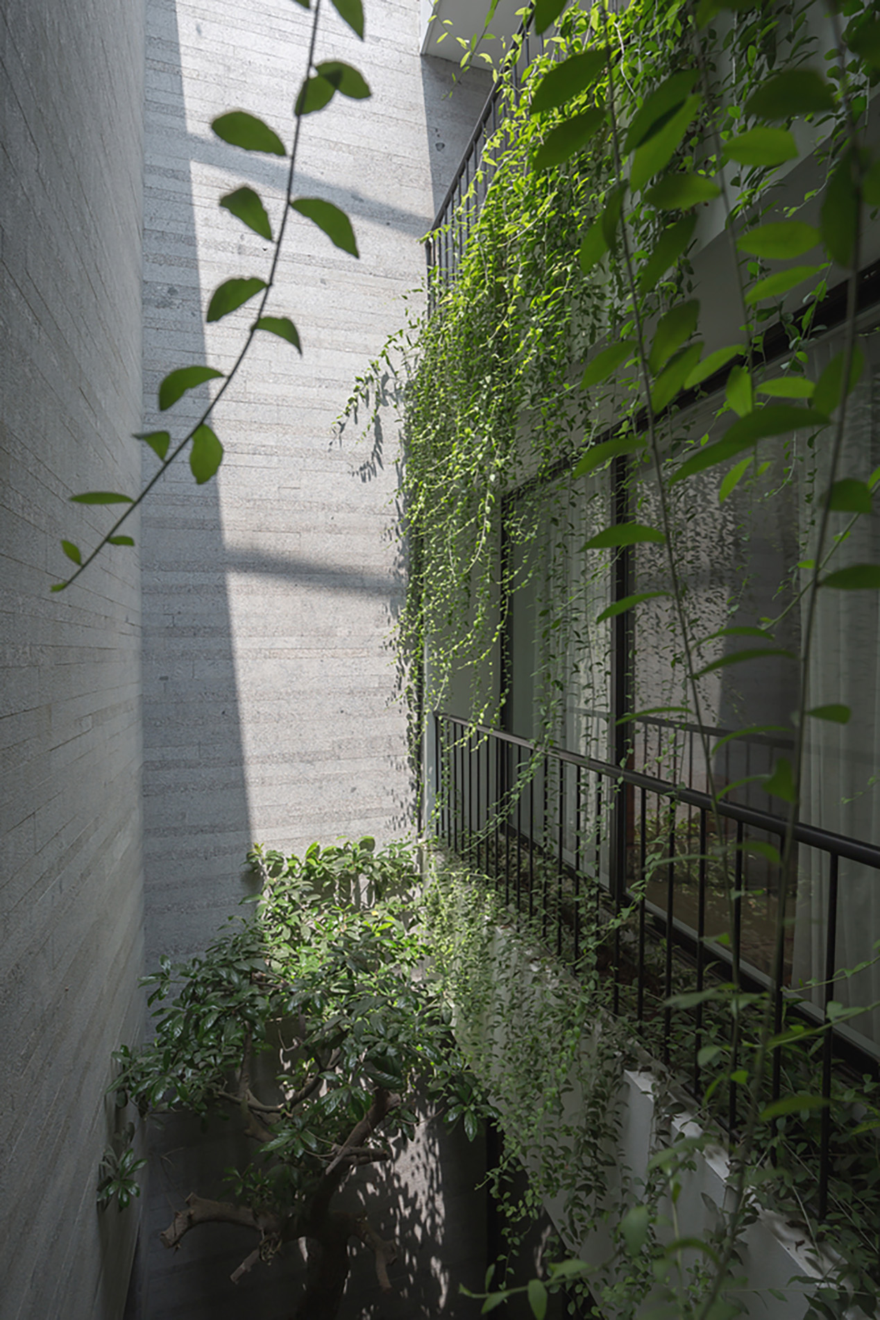 Cách bài trí nội thất chữa lành mang lại sự bình yên cho không gian sống